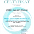 Powiększ obraz: certificate 6