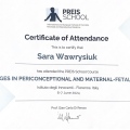 Powiększ obraz: certificate 14