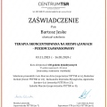 Powiększ obraz: certificate 2
