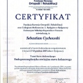 Powiększ obraz: certificate 35