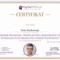 Powiększ obraz: certificate 2