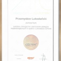 Powiększ obraz: certificate 17