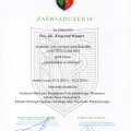Powiększ obraz: certificate 13