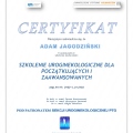Powiększ obraz: certificate 15