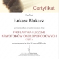 Powiększ obraz: certificate 164