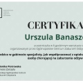 Powiększ obraz: certificate 6