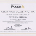 Powiększ obraz: certificate 1
