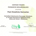Powiększ obraz: certificate 5