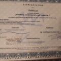Powiększ obraz: certificate 1