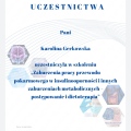 Powiększ obraz: certificate 2
