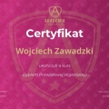 Powiększ obraz: certificate 11