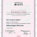 Powiększ obraz: certificate 2