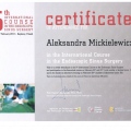 Powiększ obraz: certificate 5