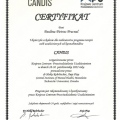 Powiększ obraz: certificate 2