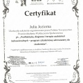 Powiększ obraz: certificate 7