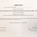 Powiększ obraz: certificate 19