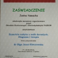 Powiększ obraz: certificate 4