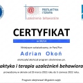 Powiększ obraz: certificate 5