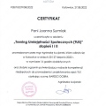 Powiększ obraz: certificate 3
