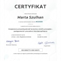 Powiększ obraz: certificate 20