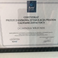 Powiększ obraz: certificate 46