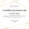 Powiększ obraz: certificate 2