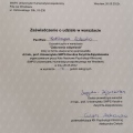 Powiększ obraz: certificate 2