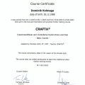 Powiększ obraz: certificate 3
