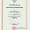 Powiększ obraz: certificate 1
