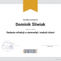 Powiększ obraz: certificate 8