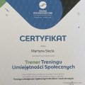 Powiększ obraz: certificate 8