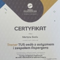 Powiększ obraz: certificate 7