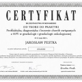 Powiększ obraz: certificate 1