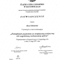 Powiększ obraz: certificate 17