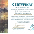 Powiększ obraz: certificate 4