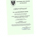 Powiększ obraz: certificate 99