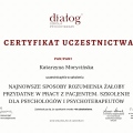 Powiększ obraz: certificate 2