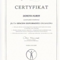 Powiększ obraz: certificate 3