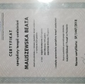 Powiększ obraz: certificate 1