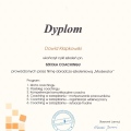 Powiększ obraz: certificate 4