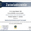 Powiększ obraz: certificate 13