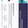 Powiększ obraz: certificate 3