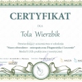 Powiększ obraz: certificate 8