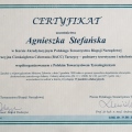 Powiększ obraz: certificate 3