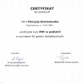 Powiększ obraz: certificate 6