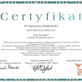 Powiększ obraz: certificate 11