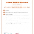 Powiększ obraz: certificate 4