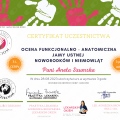 Powiększ obraz: certificate 13