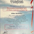 Powiększ obraz: certificate 9