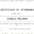 Powiększ obraz: certificate 2